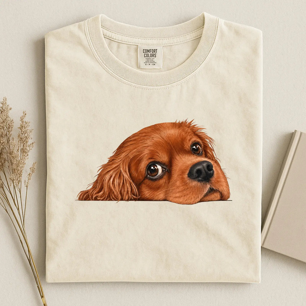 cavalier 1