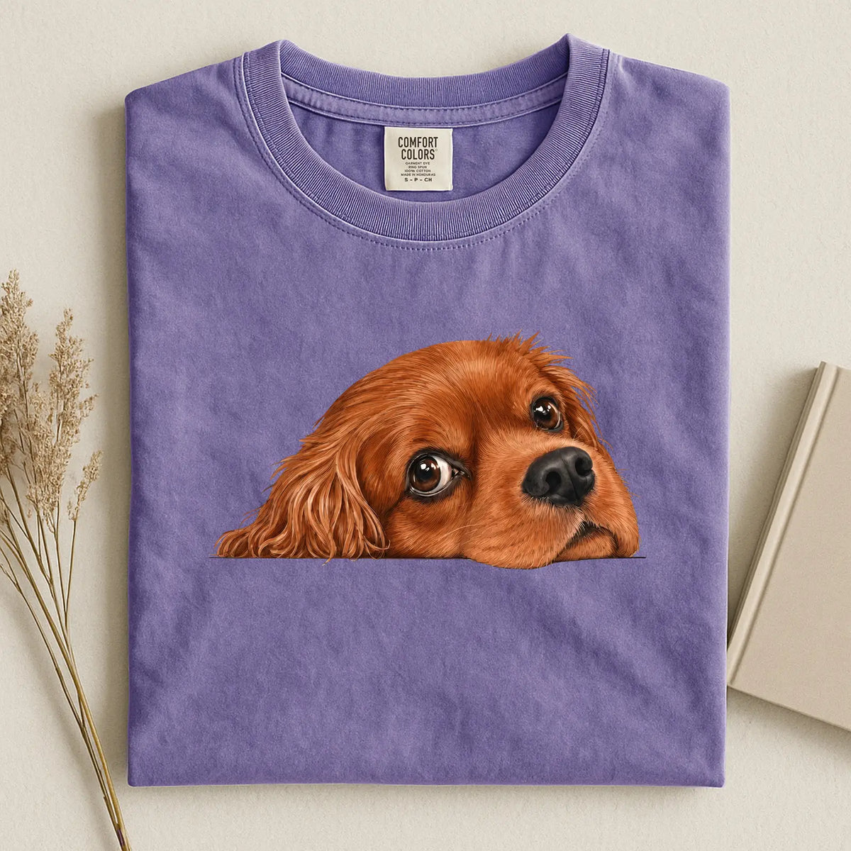 cavalier 1