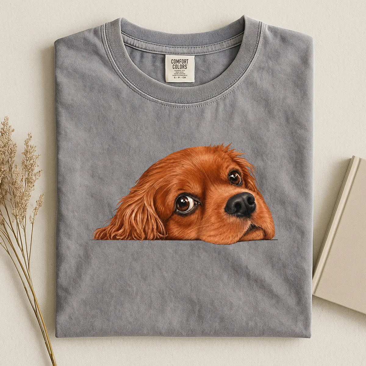 cavalier 1