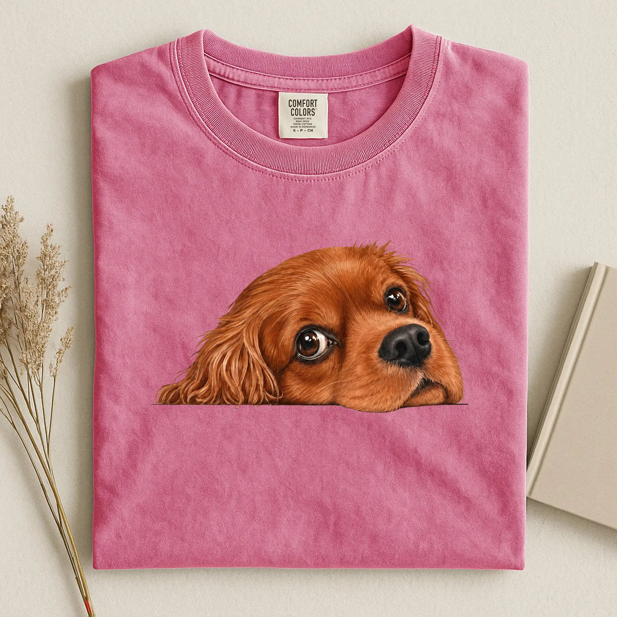 cavalier 1