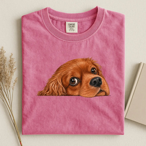 cavalier 1