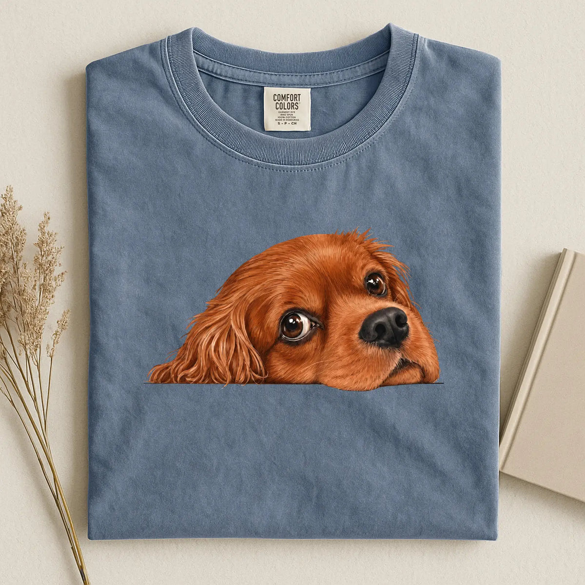cavalier 1