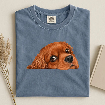 cavalier 1