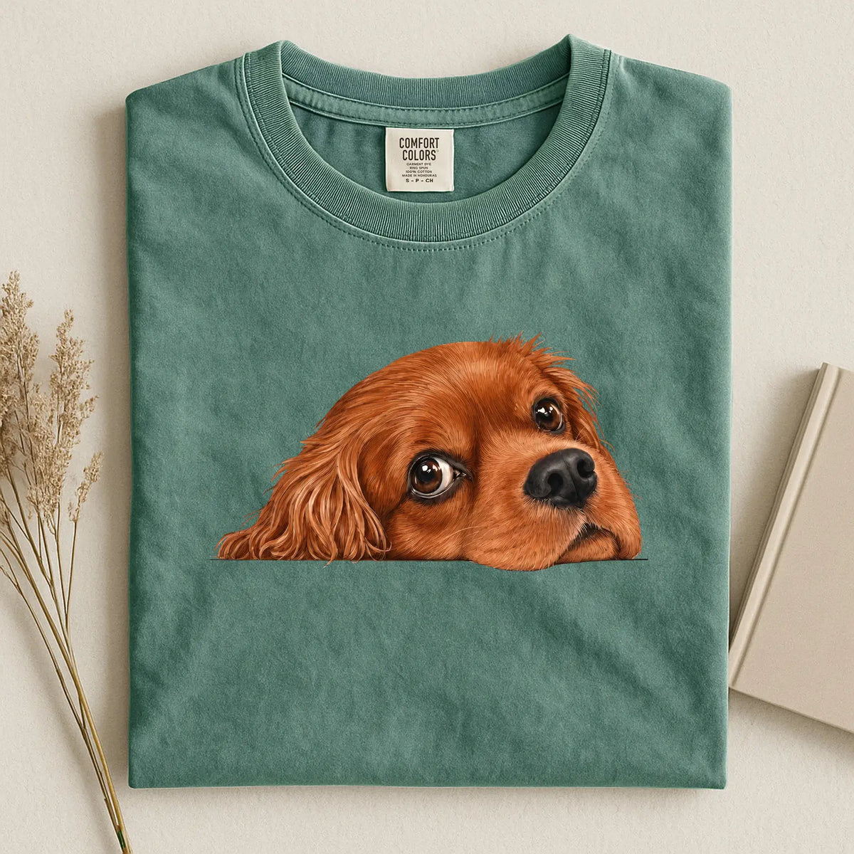 cavalier 1